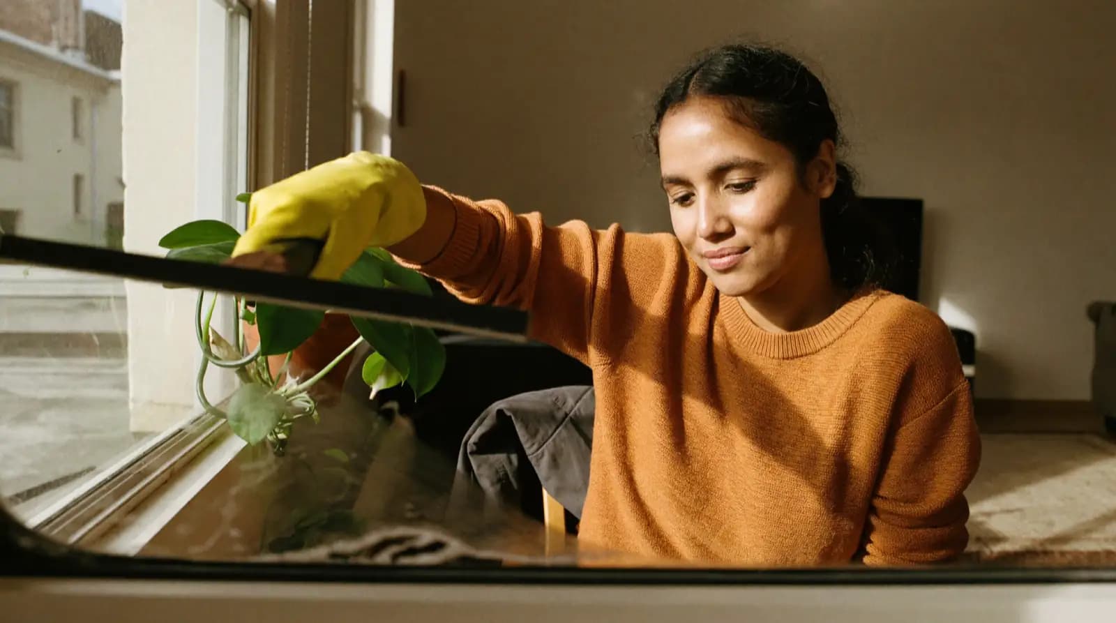 Interior window glass being cleaned in a sunlit apartment.